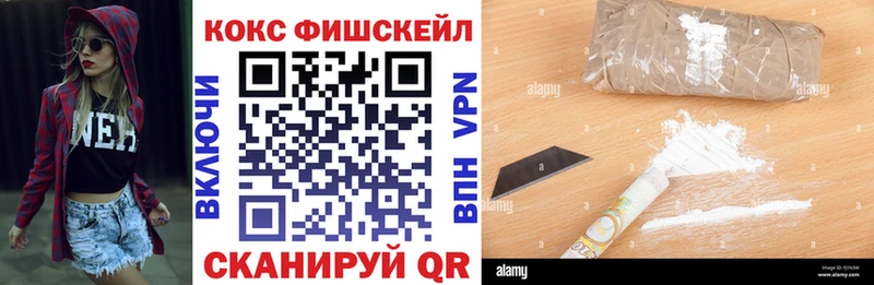 Cocaine Fish Scale  Купить закладки  Верхотурье 